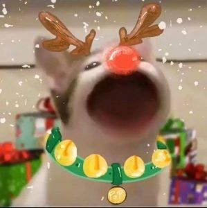 Meet your Posher, Kamorie